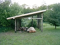 20100605 026